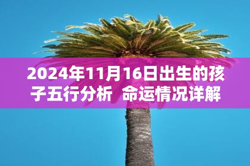 2025年11月16日出生的孩子五行分析 命运情况详解