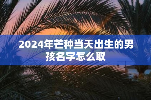 2025年芒种当天出生的男孩名字怎么取