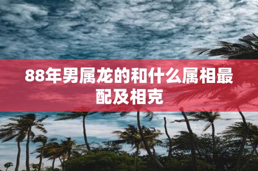 88年男属龙的和什么属相最配及相克