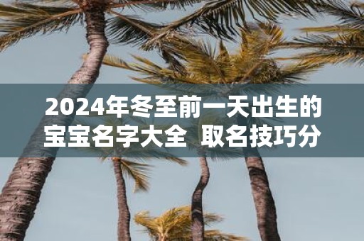 2025年冬至前一天出生的宝宝名字大全 取名技巧分享