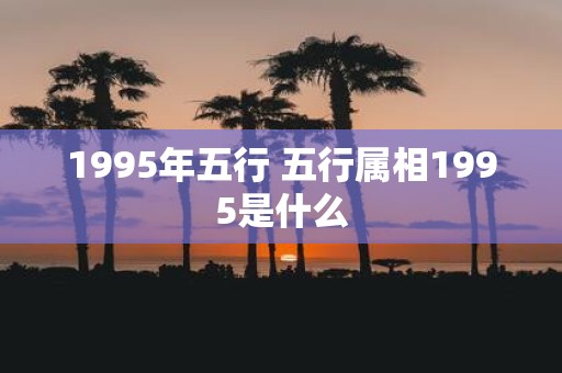 1995年五行 五行属相1995是什么
