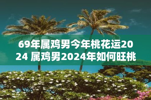 69年属鸡男今年桃花运2025 属鸡男2025年如何旺桃花
