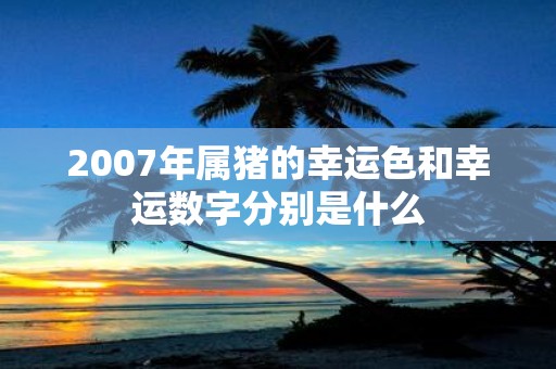 2007年属猪的幸运色和幸运数字分别是什么