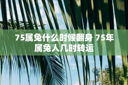 75属兔什么时候翻身 75年属兔人几时转运