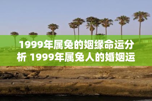 1999年属兔的姻缘命运分析 1999年属兔人的婚姻运势如何