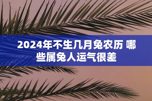 2025年不生几月兔农历 哪些属兔人运气很差