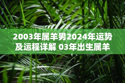 2003年属羊男2025年运势及运程详解 03年出生属羊人2025全年每月运势男性