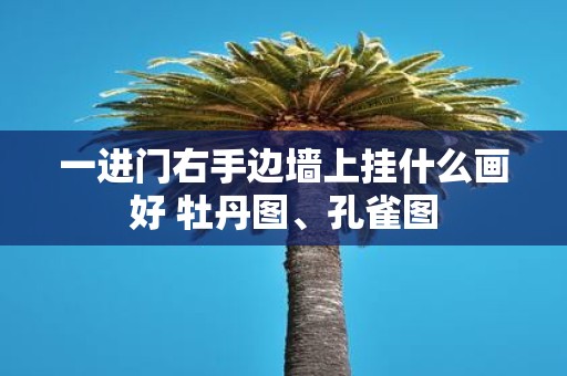 一进门右手边墙上挂什么画好 牡丹图、孔雀图