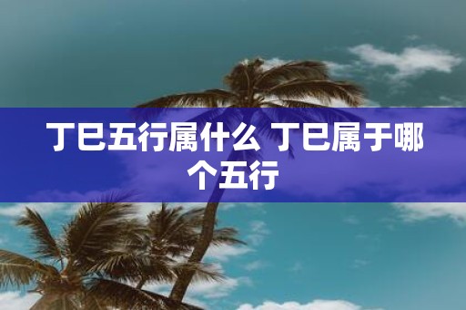 丁巳五行属什么 丁巳属于哪个五行
