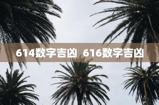 614数字吉凶 616数字吉凶