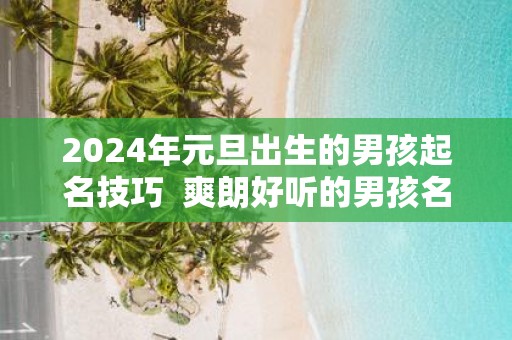 2025年元旦出生的男孩起名技巧 爽朗好听的男孩名字