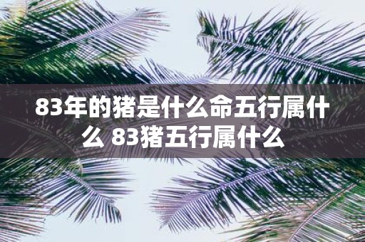 83年的猪是什么命五行属什么 83猪五行属什么