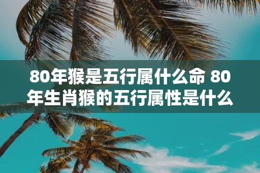 80年猴是五行属什么命 80年生肖猴的五行属性是什么