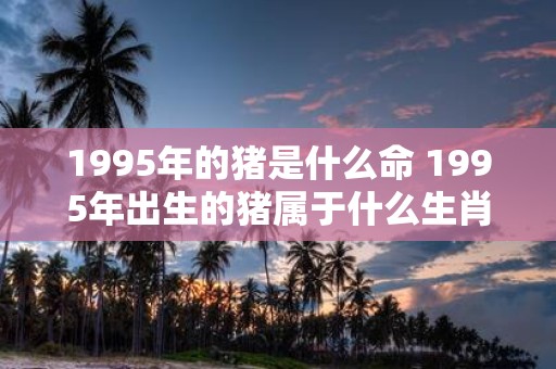 1995年的猪是什么命 1995年出生的猪属于什么生肖