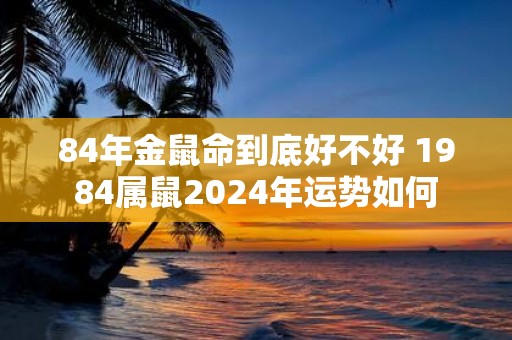 84年金鼠命到底好不好 1984属鼠2025年运势如何