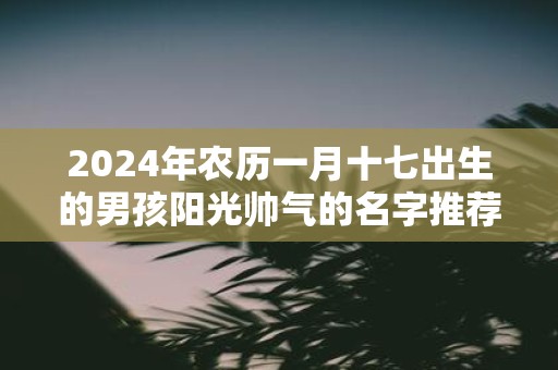 2025年农历一月十七出生的男孩阳光帅气的名字推荐