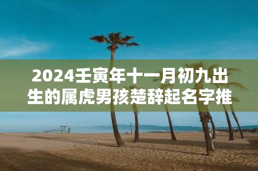 2025壬寅年十一月初九出生的属虎男孩楚辞起名字推荐