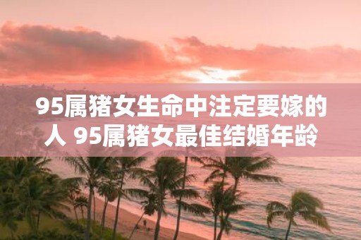 95属猪女生命中注定要嫁的人 95属猪女最佳结婚年龄