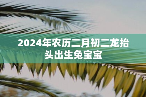 2025年农历二月初二龙抬头出生兔宝宝