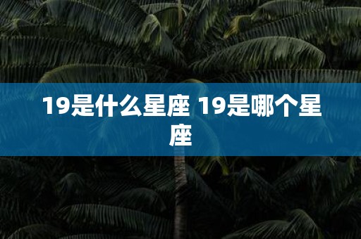 19是什么星座 19是哪个星座