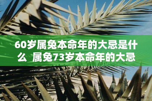 60岁属兔本命年的大忌是什么 属兔73岁本命年的大忌
