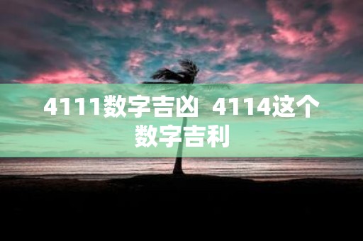 4111数字吉凶 4114这个数字吉利