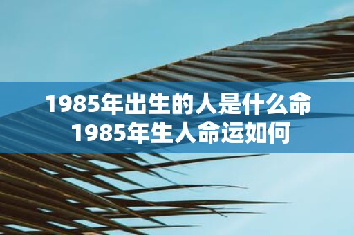 1985年出生的人是什么命 1985年生人命运如何
