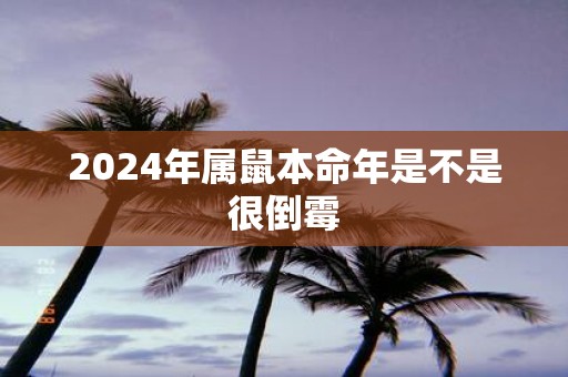 2025年属鼠本命年是不是很倒霉