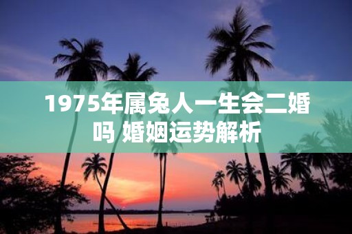 1975年属兔人一生会二婚吗 婚姻运势解析