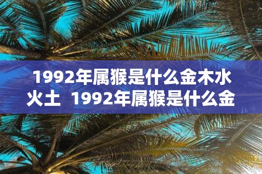 1992年属猴是什么金木水火土 1992年属猴是什么金命还是水命