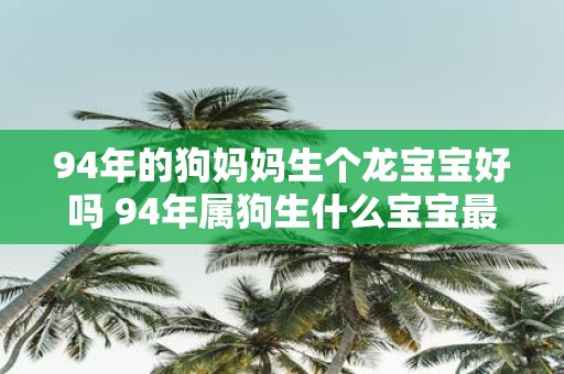 94年的狗妈妈生个龙宝宝好吗 94年属狗生什么宝宝最好