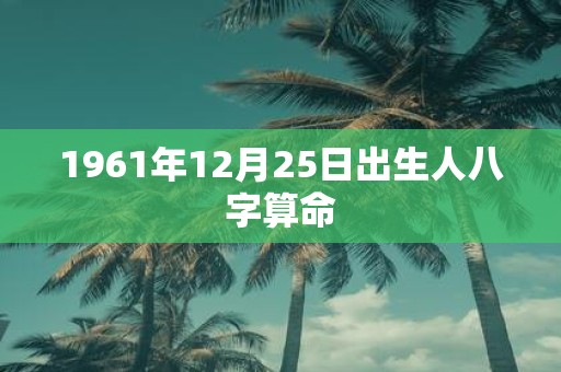 1961年12月25日出生人八字算命