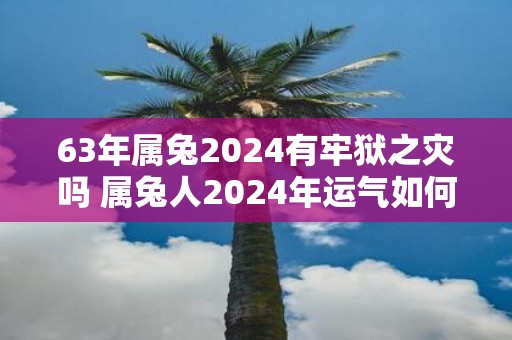 63年属兔2025有牢狱之灾吗 属兔人2025年运气如何