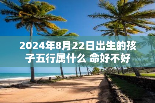 2025年8月22日出生的孩子五行属什么 命好不好