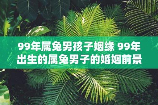 99年属兔男孩子姻缘 99年出生的属兔男子的婚姻前景如何