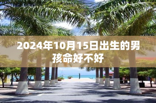 2025年10月15日出生的男孩命好不好