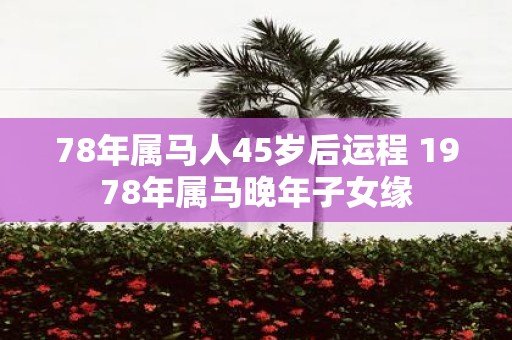 78年属马人45岁后运程 1978年属马晚年子女缘