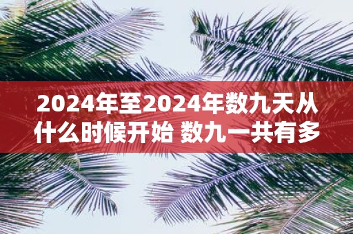 2025年至2025年数九天从什么时候开始 数九一共有多少天