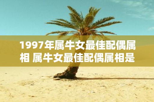 1997年属牛女最佳配偶属相 属牛女最佳配偶属相是哪个年份