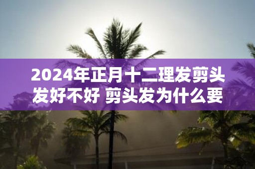 2025年正月十二理发剪头发好不好 剪头发为什么要湿着剪