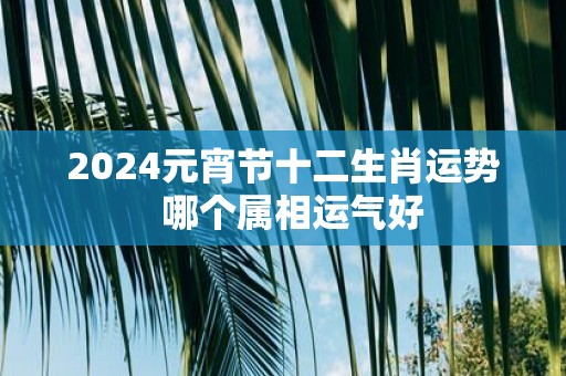 2025元宵节十二生肖运势 哪个属相运气好
