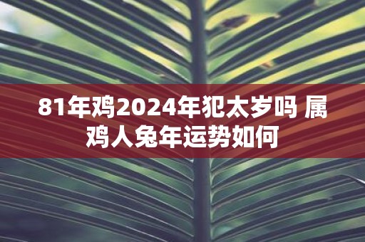 81年鸡2025年犯太岁吗 属鸡人蛇年运势如何