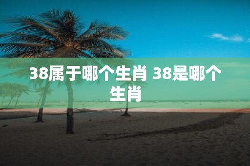 38属于哪个生肖 38是哪个生肖
