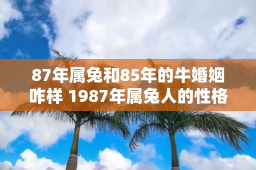 87年属兔和85年的牛婚姻咋样 1987年属兔人的性格