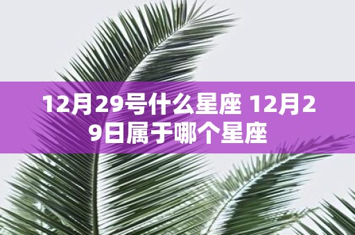 12月29号什么星座 12月29日属于哪个星座