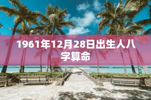 1961年12月28日出生人八字算命
