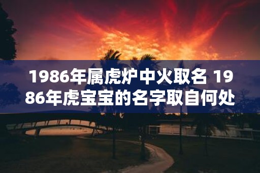 1986年属虎炉中火取名 1986年虎宝宝的名字取自何处