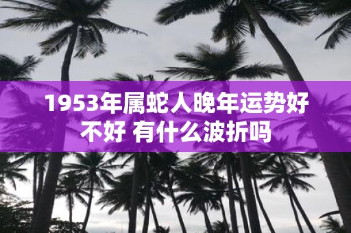 1953年属蛇人晚年运势好不好 有什么波折吗