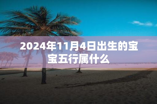 2025年11月4日出生的宝宝五行属什么