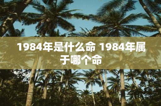 1984年是什么命 1984年属于哪个命